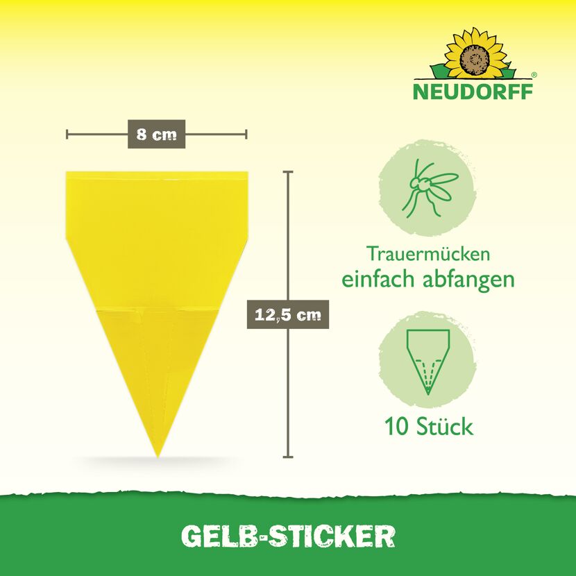 Gelb-Sticker Klebefalle 10 Stück