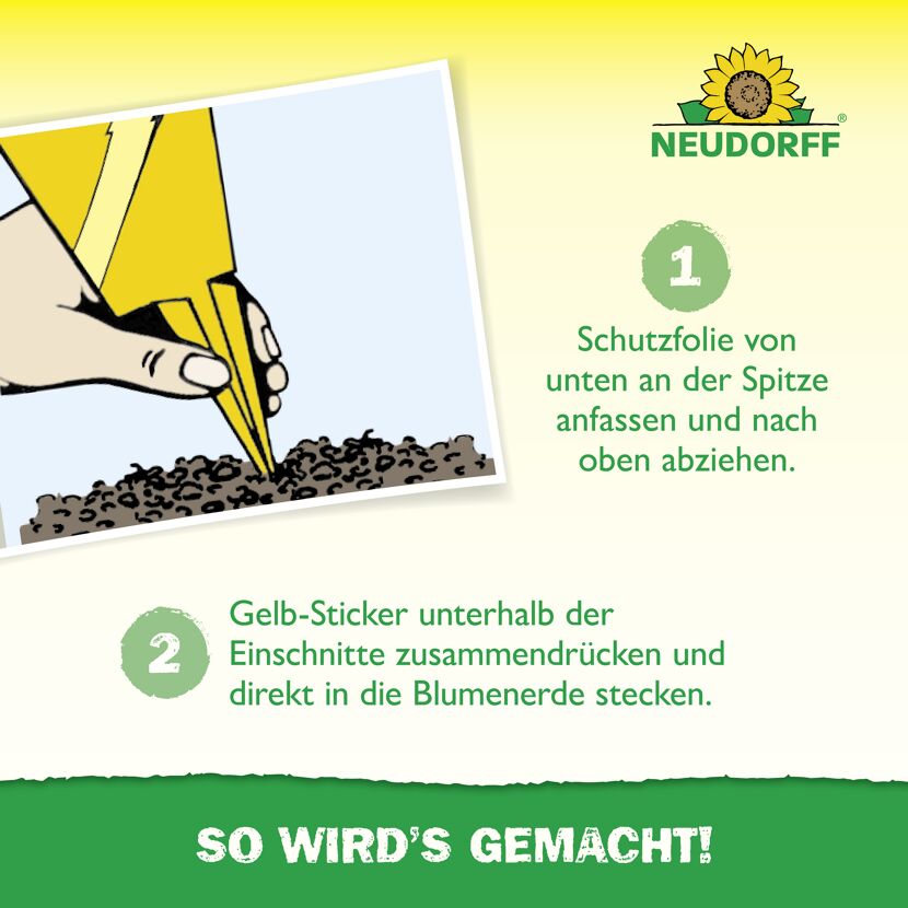 Gelb-Sticker Klebefalle 10 Stück
