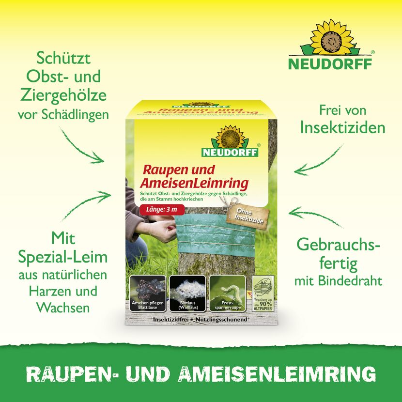 Ameisen- und Raupen-Leimring 3 m