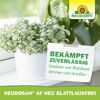 Neudosan AF Blattlausfrei 250 ml