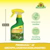 Grünpflanzen-Schädlingsfrei 'Promanal AF' 250 ml