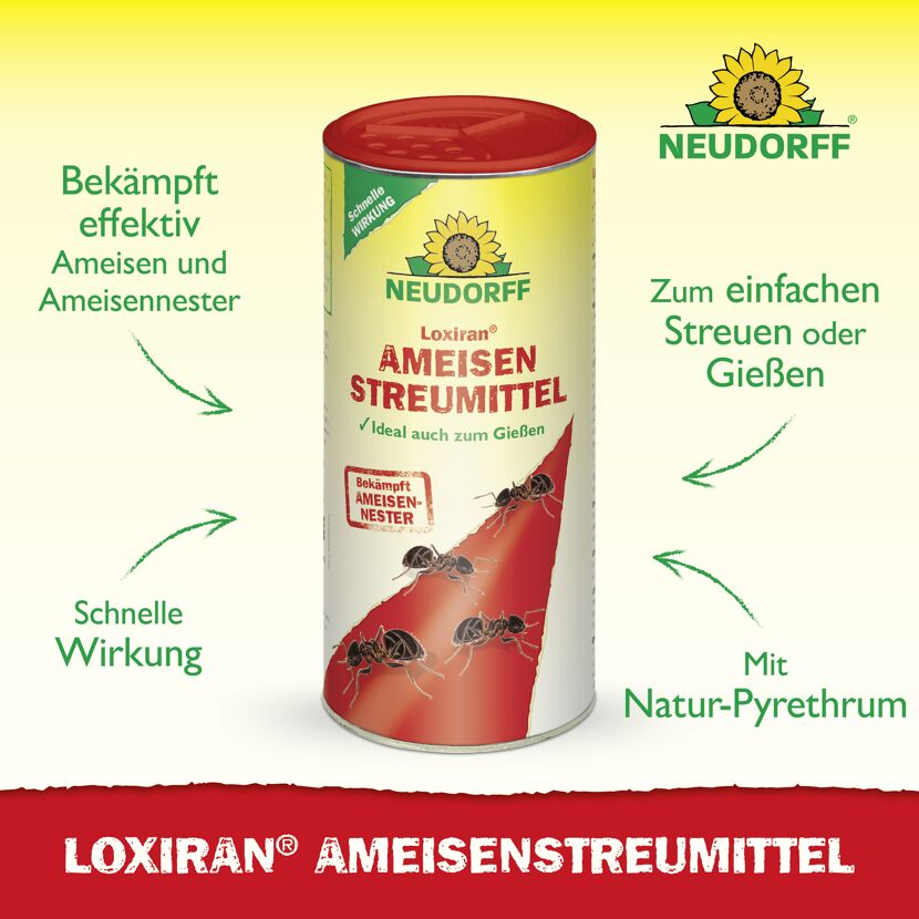 Loxiran Ameisenmittel 500 g