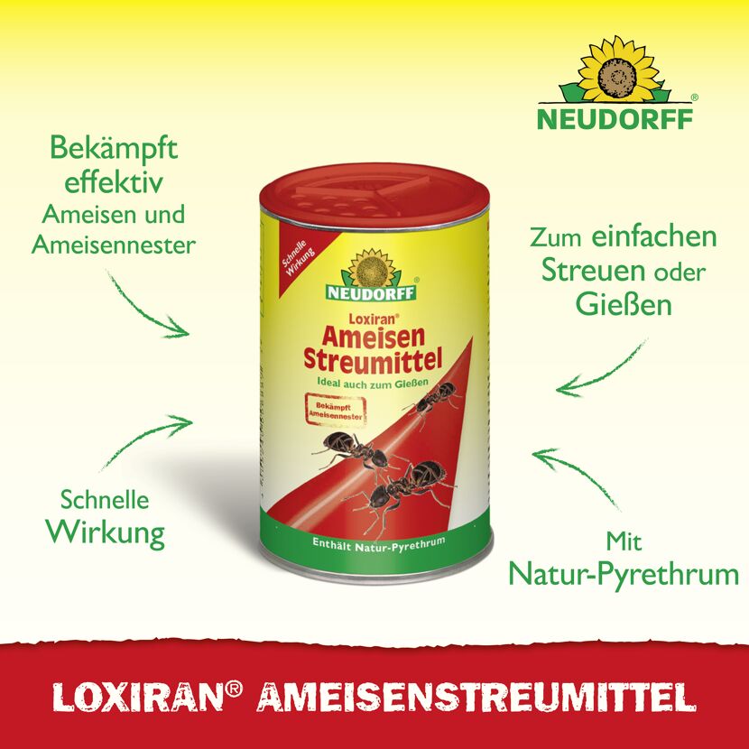 Loxiran Ameisenmittel 100 g