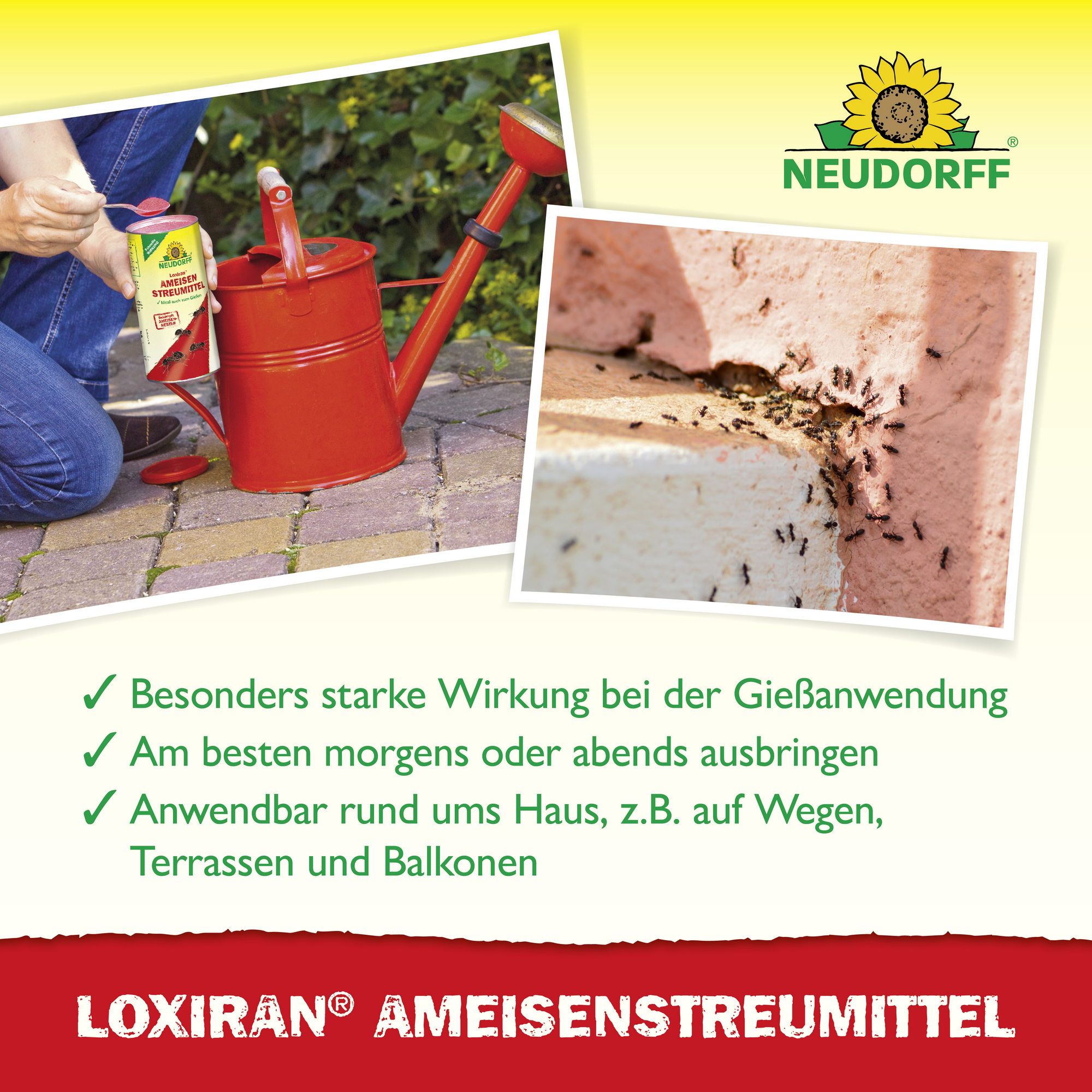 Loxiran S Ameisenmittel 100 g