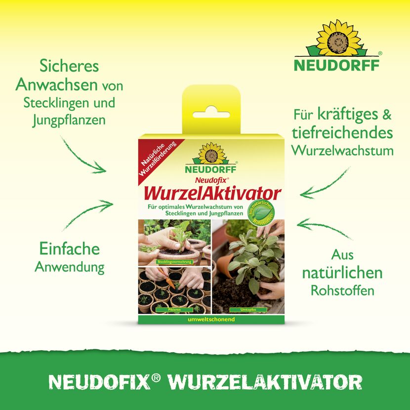 Wurzelaktivator 'Neudofix' 40 g