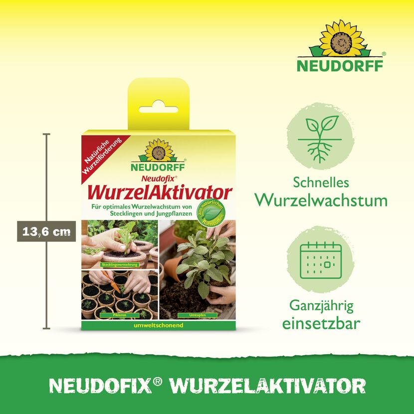 Wurzelaktivator 'Neudofix' 40 g