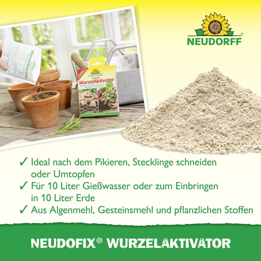 Wurzelaktivator 'Neudofix' 40 g