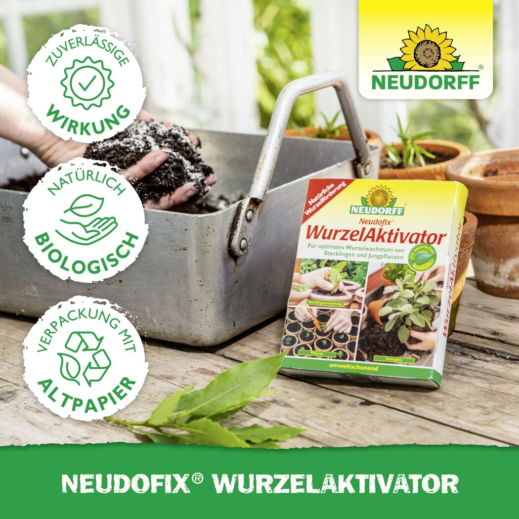 Wurzelaktivator 'Neudofix' 40 g