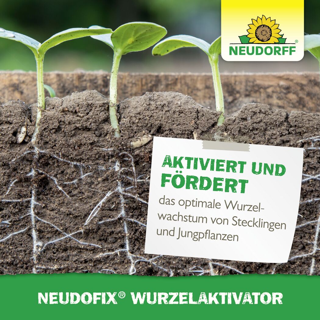 Wurzelaktivator 'Neudofix' 40 g