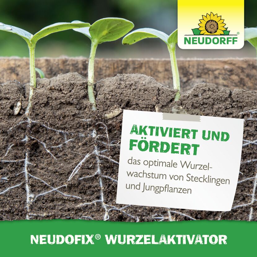 Wurzelaktivator 'Neudofix' 40 g