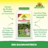 Bio-Baumanstrich 2 l
