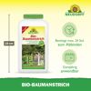Bio-Baumanstrich 2 l