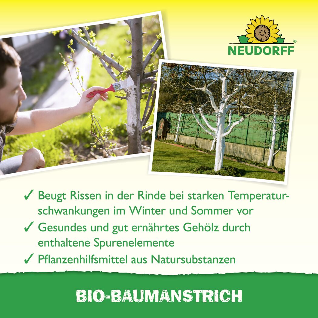 Bio-Baumanstrich 2 l
