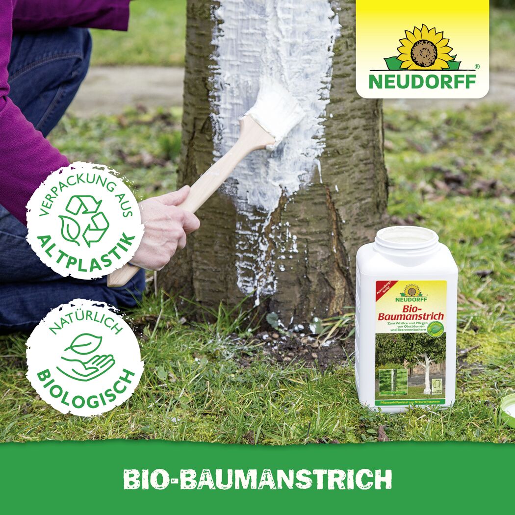 Bio-Baumanstrich 2 l