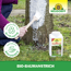 Bio-Baumanstrich 2 l