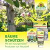 Bio-Baumanstrich 2 l