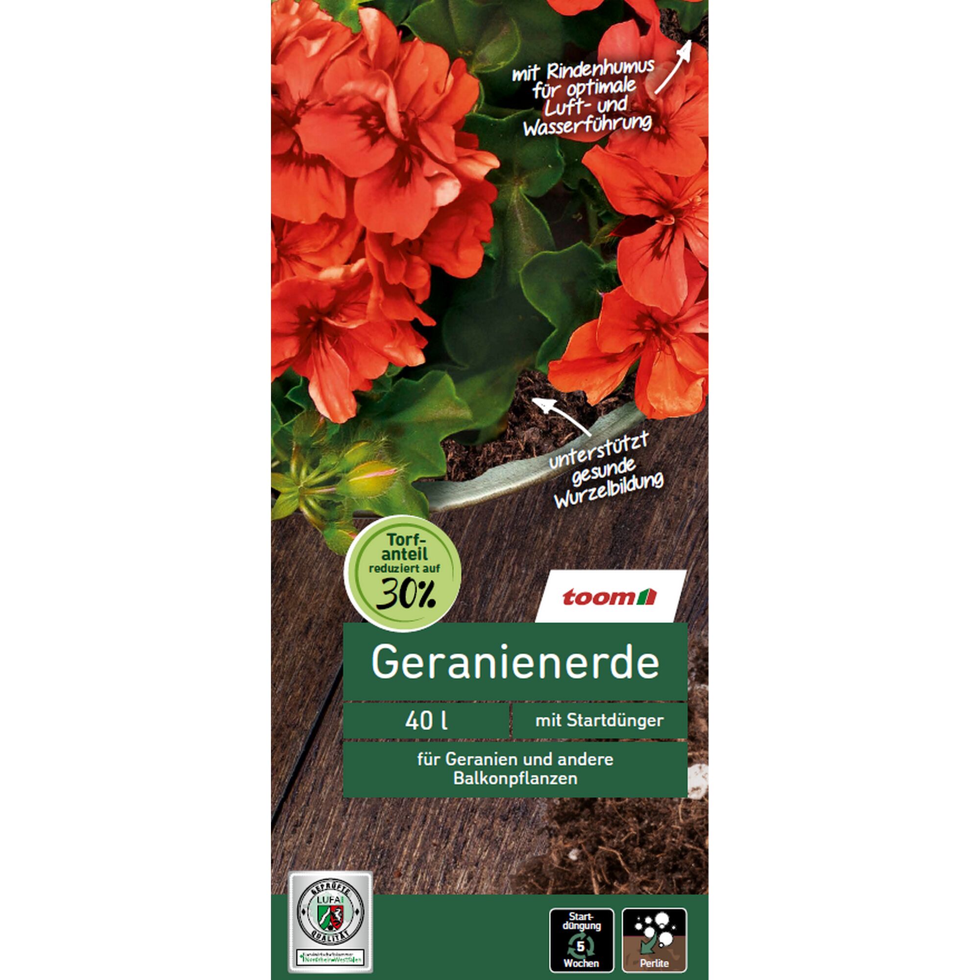 Geranienerde von Toom mit roten Geranien