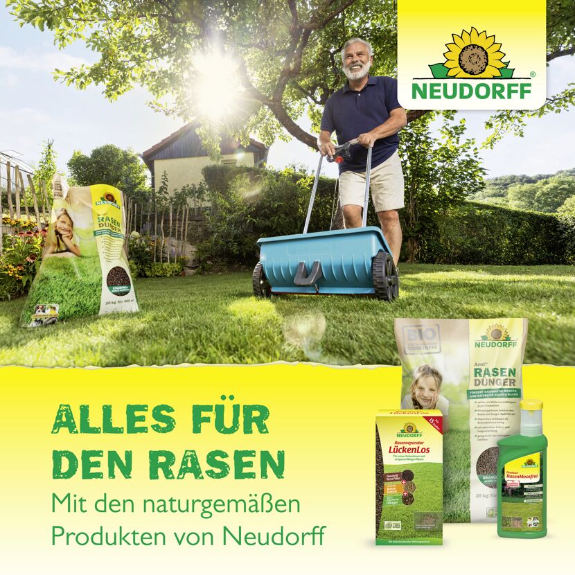 Sandboden-Verbesserer 'Bentonit' 10 kg