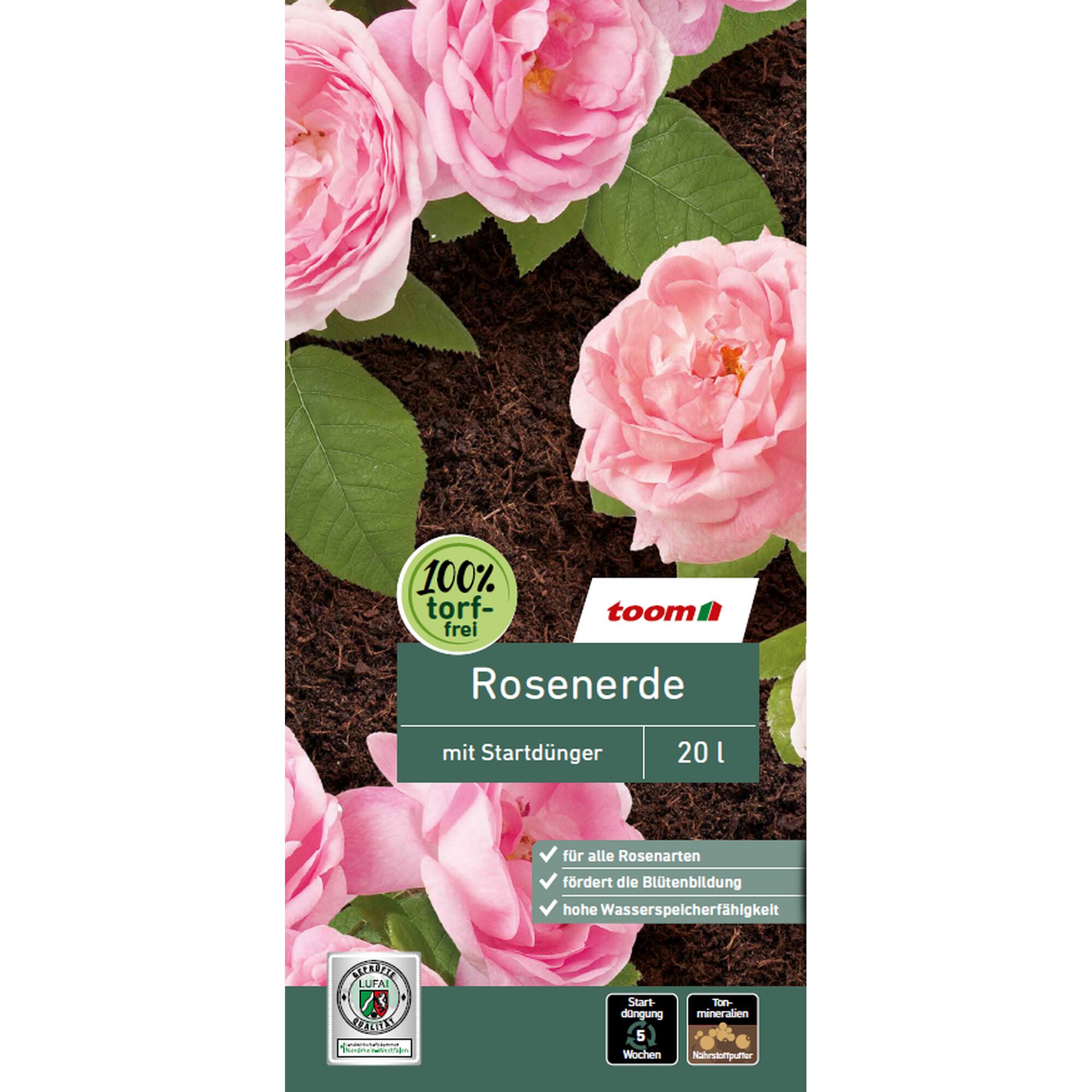 Rosenerde mit rosa Rosen
