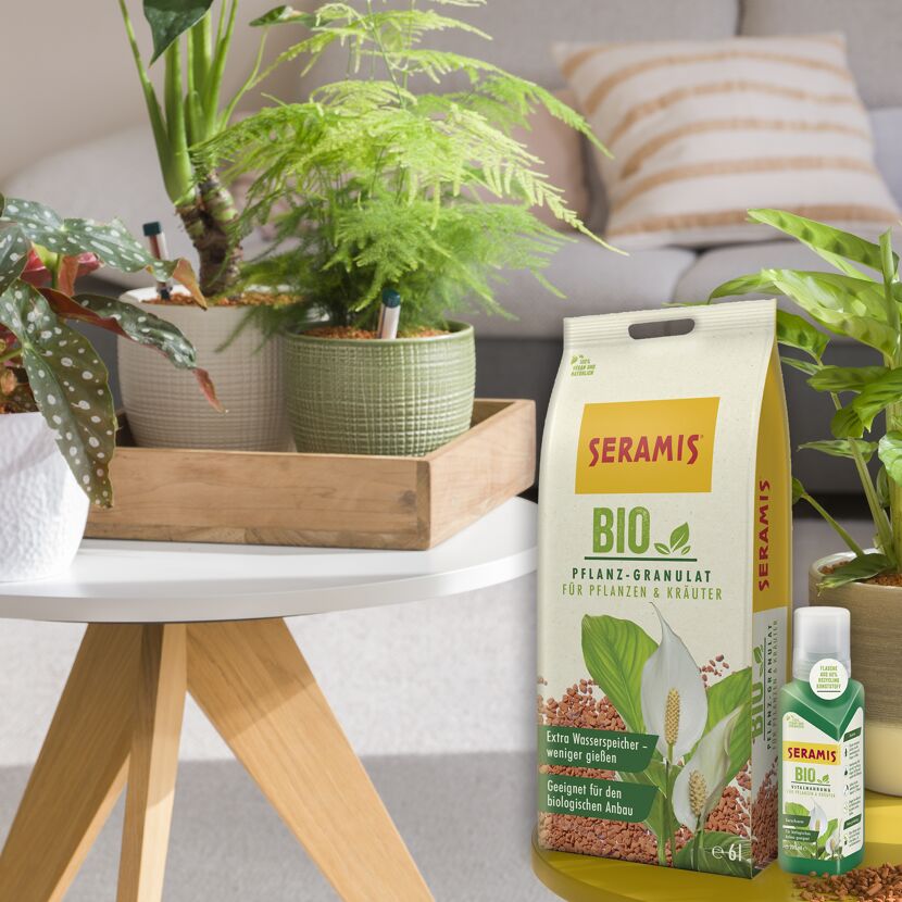 Seramis Bio Pflanz-Granulat und Vitalnahrung für Pflanzen und Kräuter