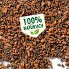 Seramis Spezial-Substrat für Kakteen, 100 % natürlich