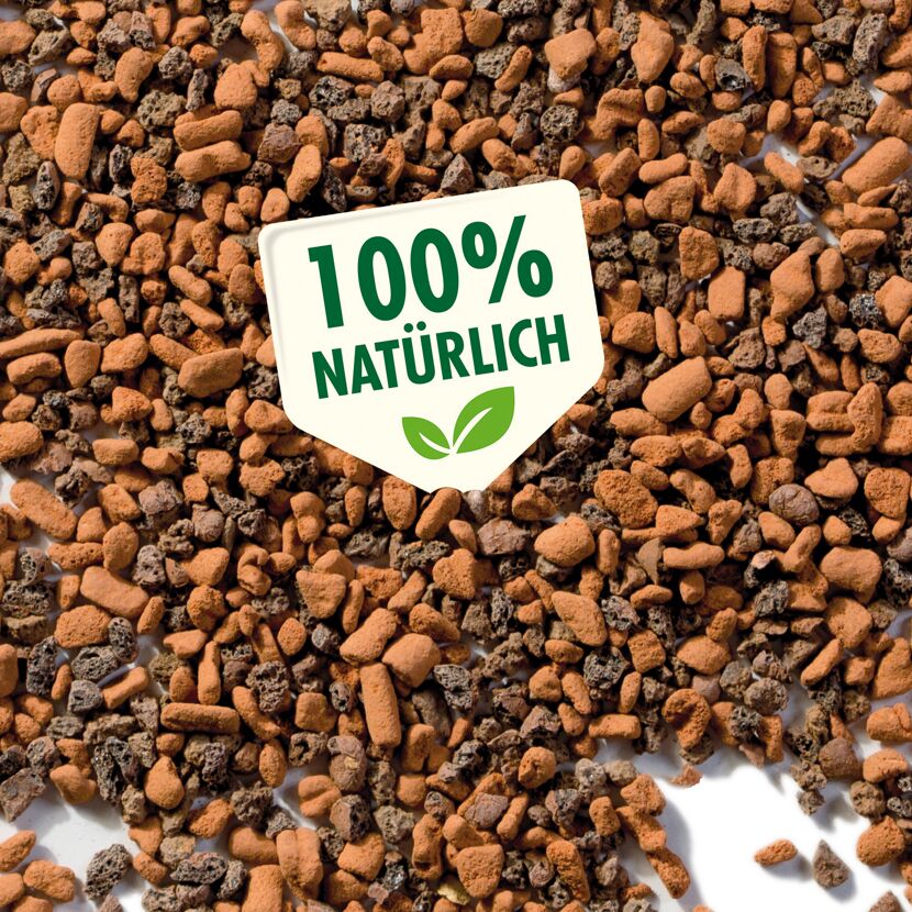 Seramis Spezial-Substrat für Kakteen, 100 % natürlich