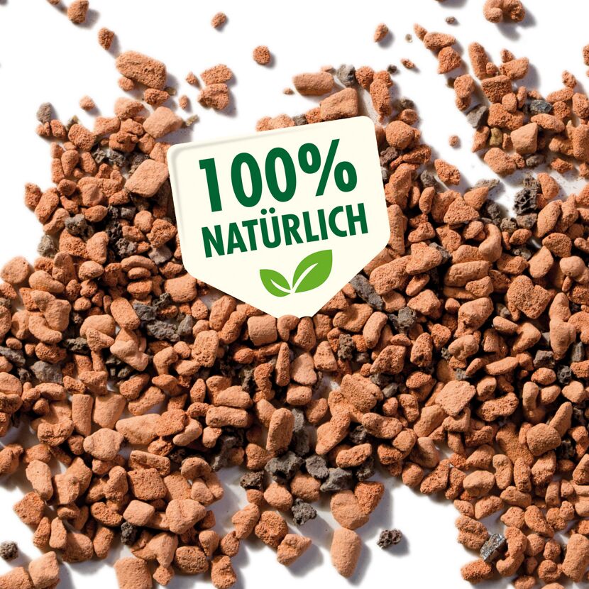 Seramis Spezial-Substrat für Palmen, 100 % natürlich