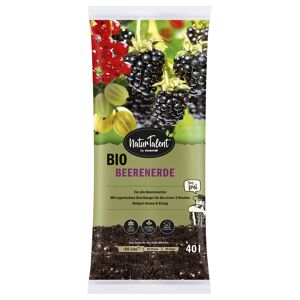 Bio-Beerenerde 'Naturtalent' torffrei 40 l