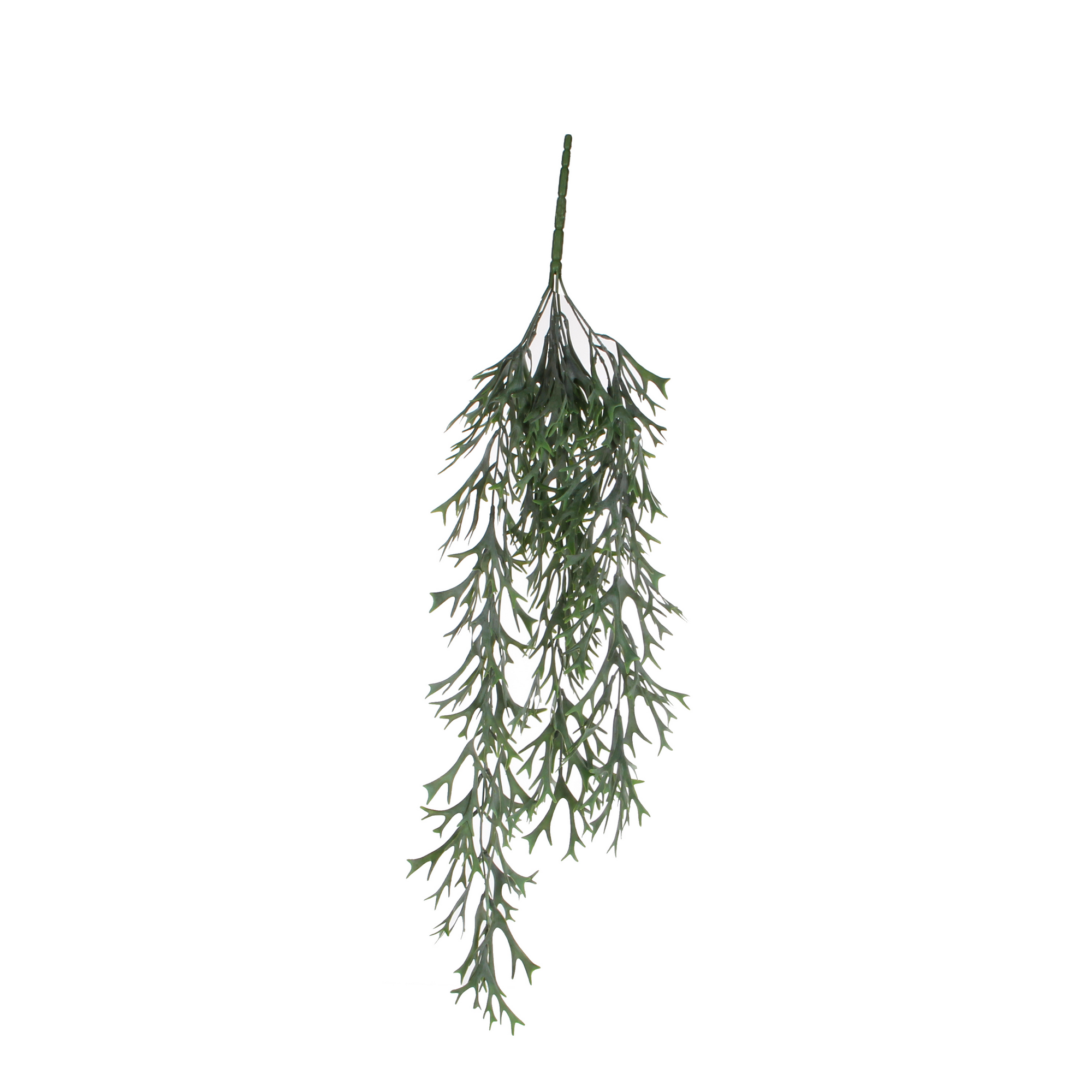 Kunstpflanze Citronella hängend 84 cm + product picture