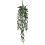 Verkleinertes Bild von Kunstpflanze Eukalyptus hängend 78 cm