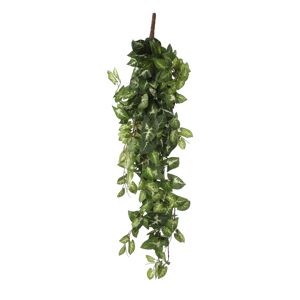 Kunstpflanze Fittonia, hängend 80 cm