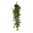 Verkleinertes Bild von Kunstpflanze Fittonia, hängend 80 cm