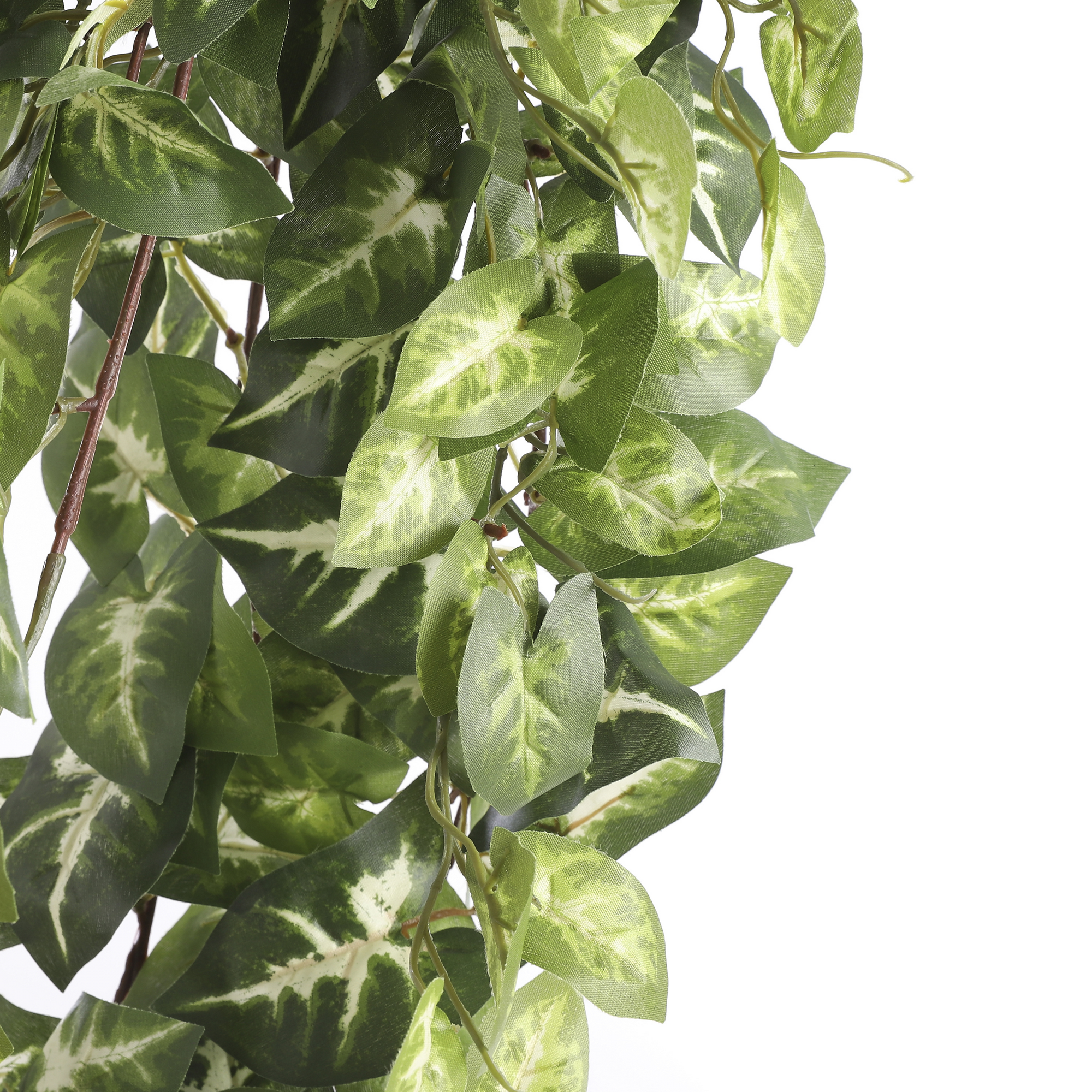 Kunstpflanze Fittonia, hängend 80 cm + product picture