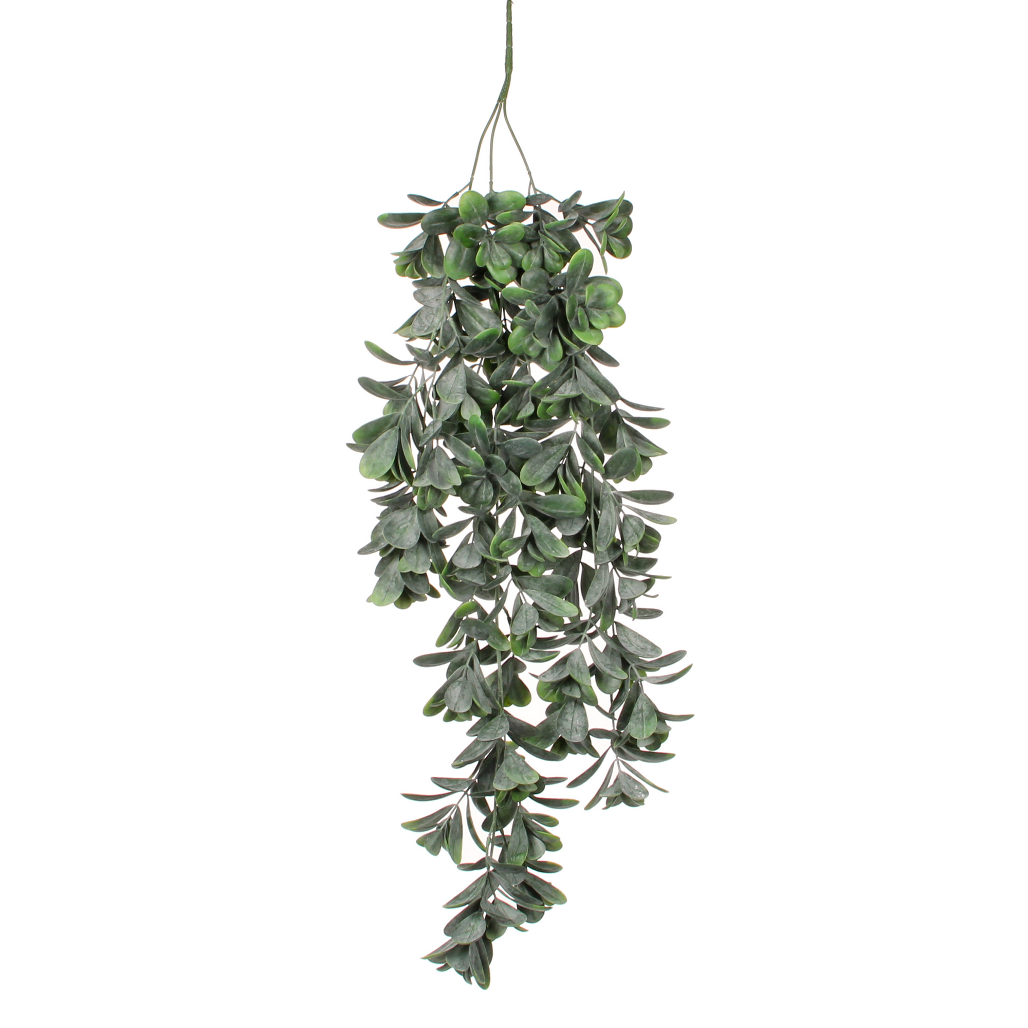 Kunstpflanze Crassula grün hängend  79 cm + product picture