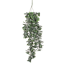 Verkleinertes Bild von Kunstpflanze Crassula grün hängend  79 cm