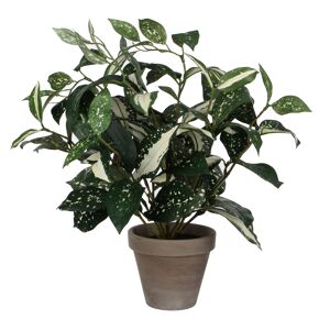 Kunstpflanze Cordyline grün/grau im Topf 11,5 x 35 x 25 cm