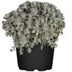 hauptbild