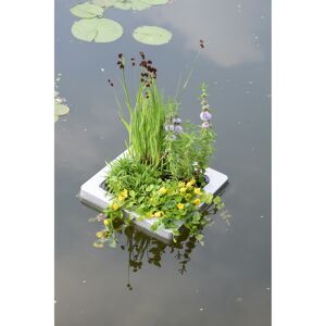 Schwimminsel inkl. 4er Set Pflanzen, 19 cm Topf