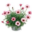 hauptbild