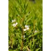 hauptbild