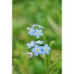 hauptbild