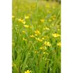 hauptbild