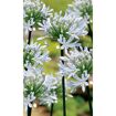 hauptbild