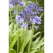 hauptbild