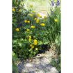 hauptbild