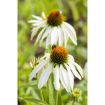 hauptbild