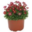hauptbild