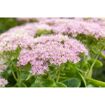 hauptbild