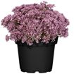 hauptbild