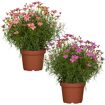 hauptbild